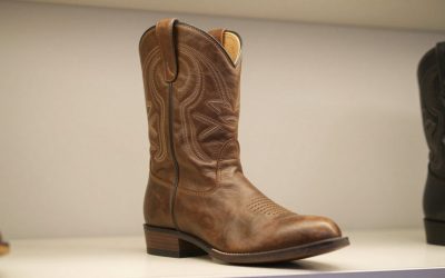 10 Best Ariat Paddock Boots (October 2026)