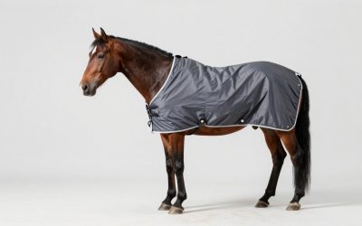 Best Horse Blankets: Turnout, Stable and Cooler (2026)