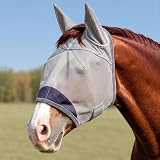 6 Best Horse Fly Masks (October 2026) Honest Reviews