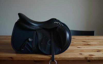 Best Horse Saddles: Western, English and Trail Picks 2026