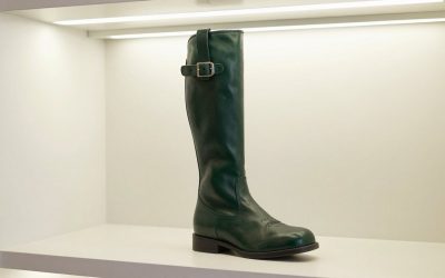 Best Horse Boots for Endurance Riding in 2026